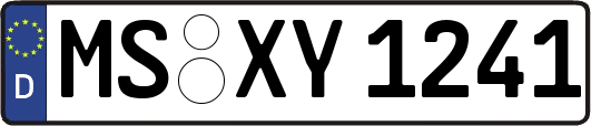 MS-XY1241