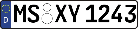 MS-XY1243