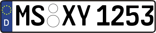 MS-XY1253