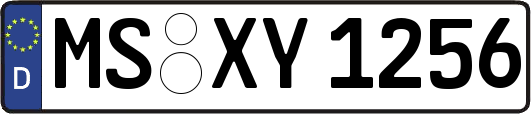 MS-XY1256