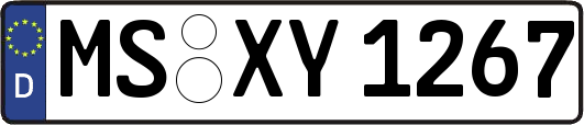 MS-XY1267