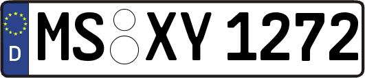 MS-XY1272
