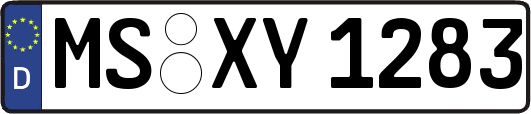 MS-XY1283