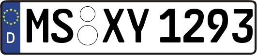 MS-XY1293