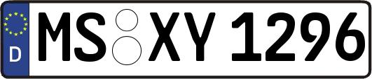 MS-XY1296
