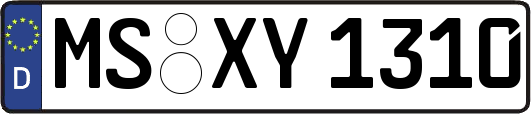 MS-XY1310