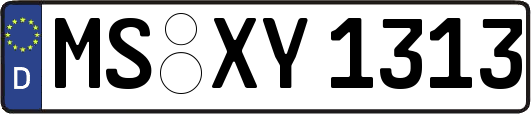 MS-XY1313
