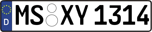 MS-XY1314