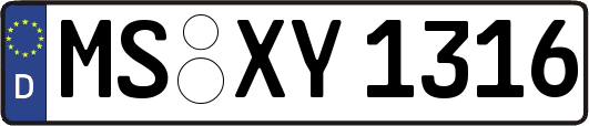 MS-XY1316