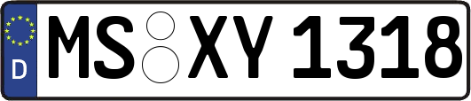 MS-XY1318
