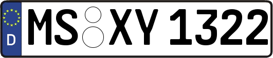 MS-XY1322