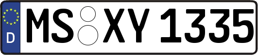 MS-XY1335