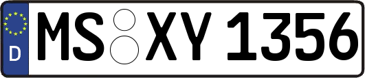 MS-XY1356