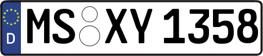 MS-XY1358