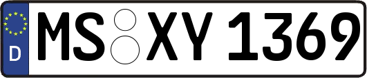 MS-XY1369