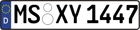MS-XY1447