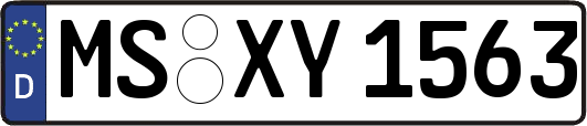MS-XY1563