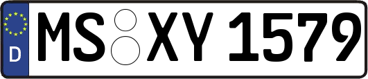 MS-XY1579