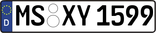 MS-XY1599