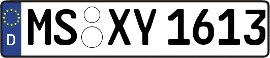 MS-XY1613