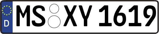 MS-XY1619