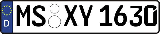 MS-XY1630