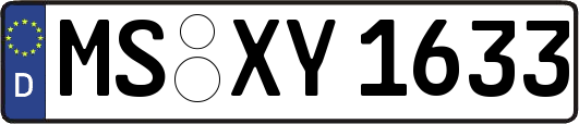 MS-XY1633