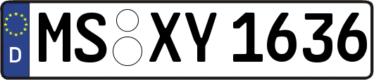 MS-XY1636