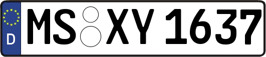 MS-XY1637