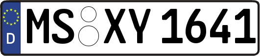 MS-XY1641