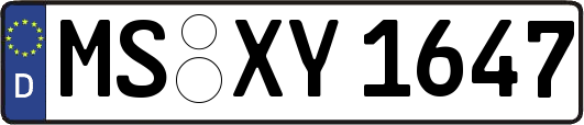 MS-XY1647