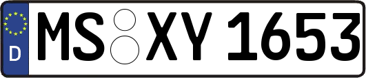 MS-XY1653