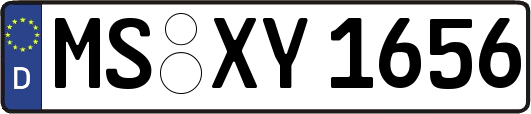 MS-XY1656