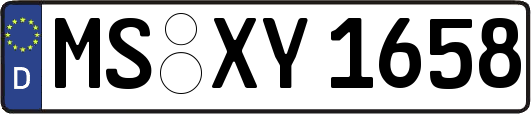 MS-XY1658