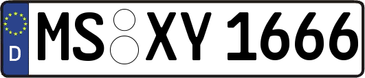 MS-XY1666