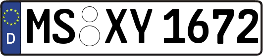 MS-XY1672