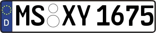 MS-XY1675