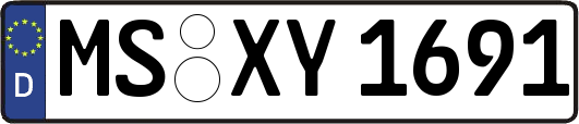MS-XY1691