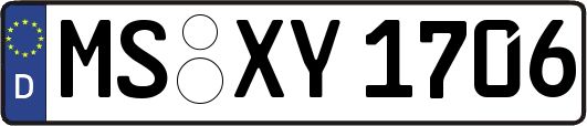 MS-XY1706
