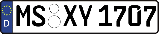 MS-XY1707