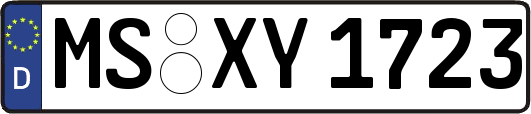 MS-XY1723