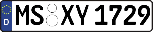 MS-XY1729