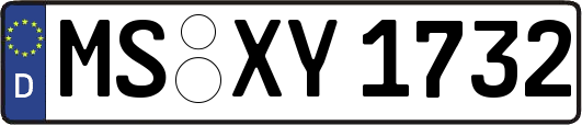 MS-XY1732