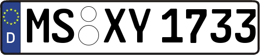 MS-XY1733