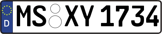 MS-XY1734