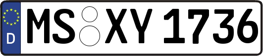 MS-XY1736