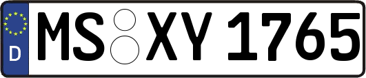 MS-XY1765