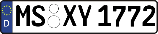 MS-XY1772
