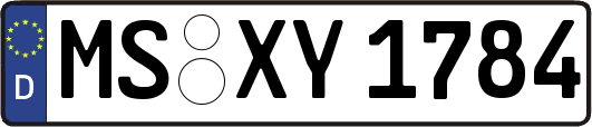 MS-XY1784