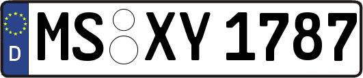 MS-XY1787